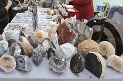 Achat- und Fossilienschleifer Standnummer: 58